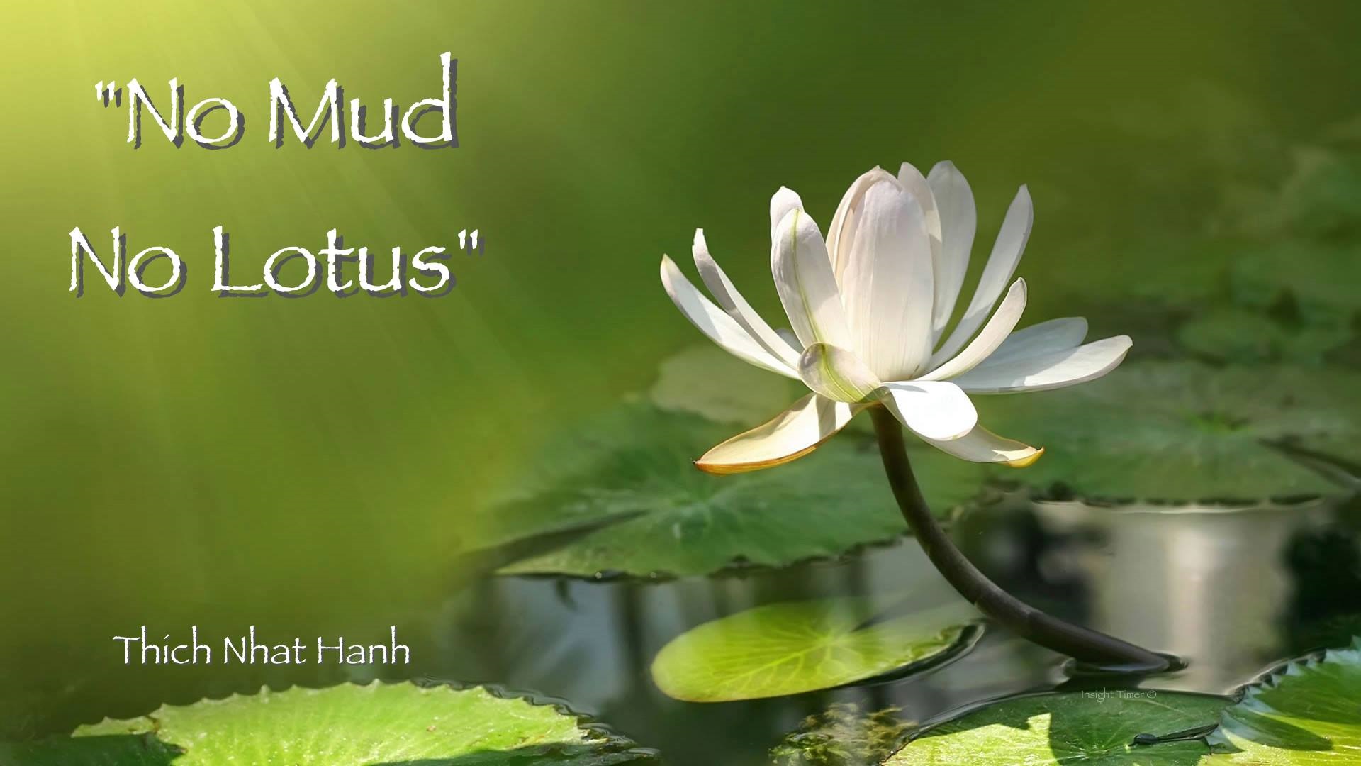 4website - no-mud- no-lotus