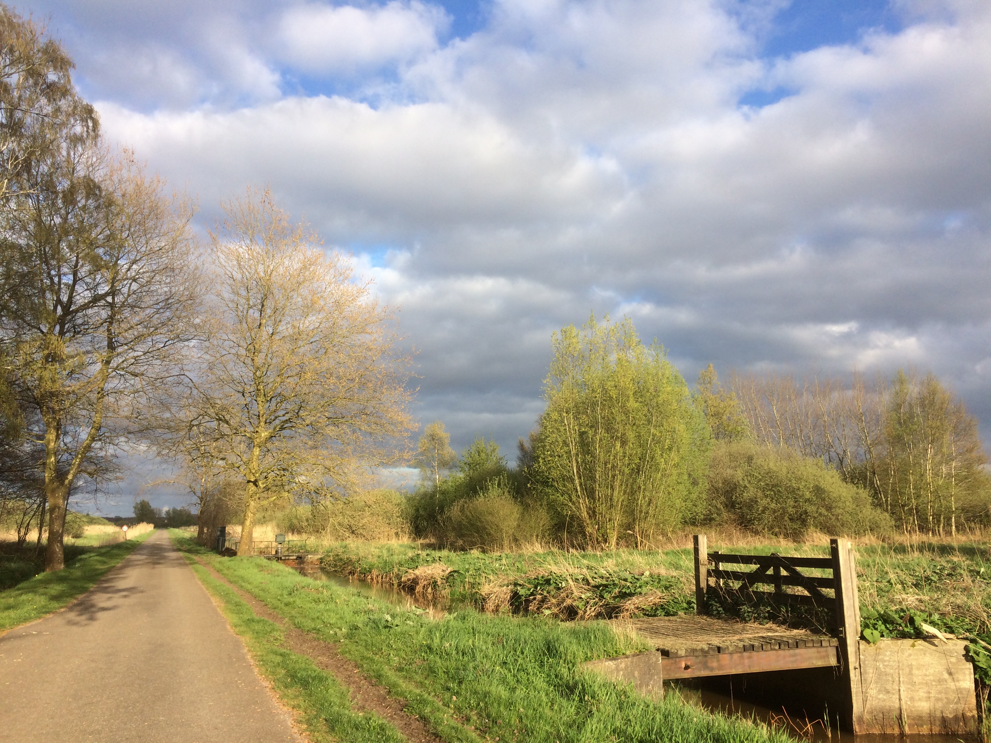 2017-04-10 Radioweg zon in de rug